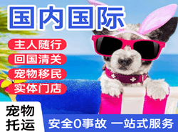 锡林浩特机场托运国际宠物托运 【国